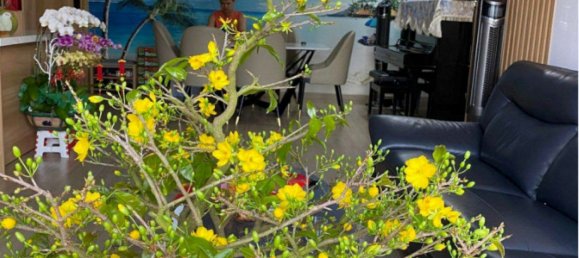 Квартира с 3 спальнями в Танфу, Вьетнам № 144 6