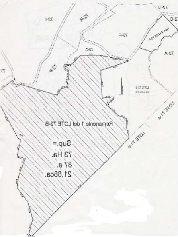 6 bedrooms House in Neuquen, Argentina No. 59757