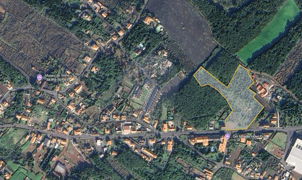  Land in Madalena, Portugal No. 202189