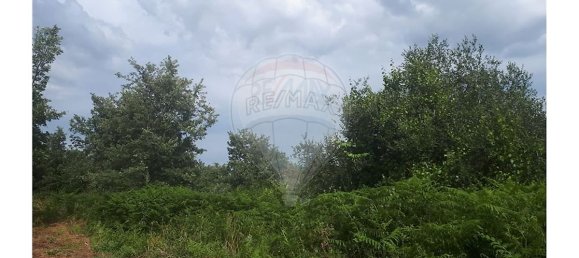 2 Schlafzimmer Haus in Caria, Portugal, Nr. 54173 5