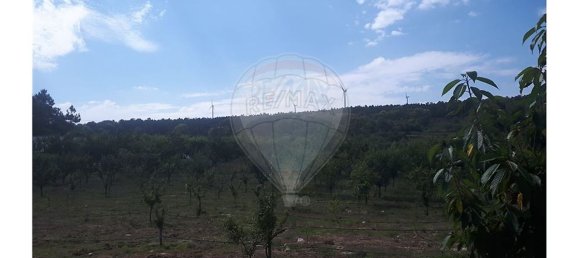 2 Schlafzimmer Haus in Caria, Portugal, Nr. 54173 2