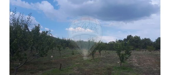 2 Schlafzimmer Haus in Caria, Portugal, Nr. 54173 3