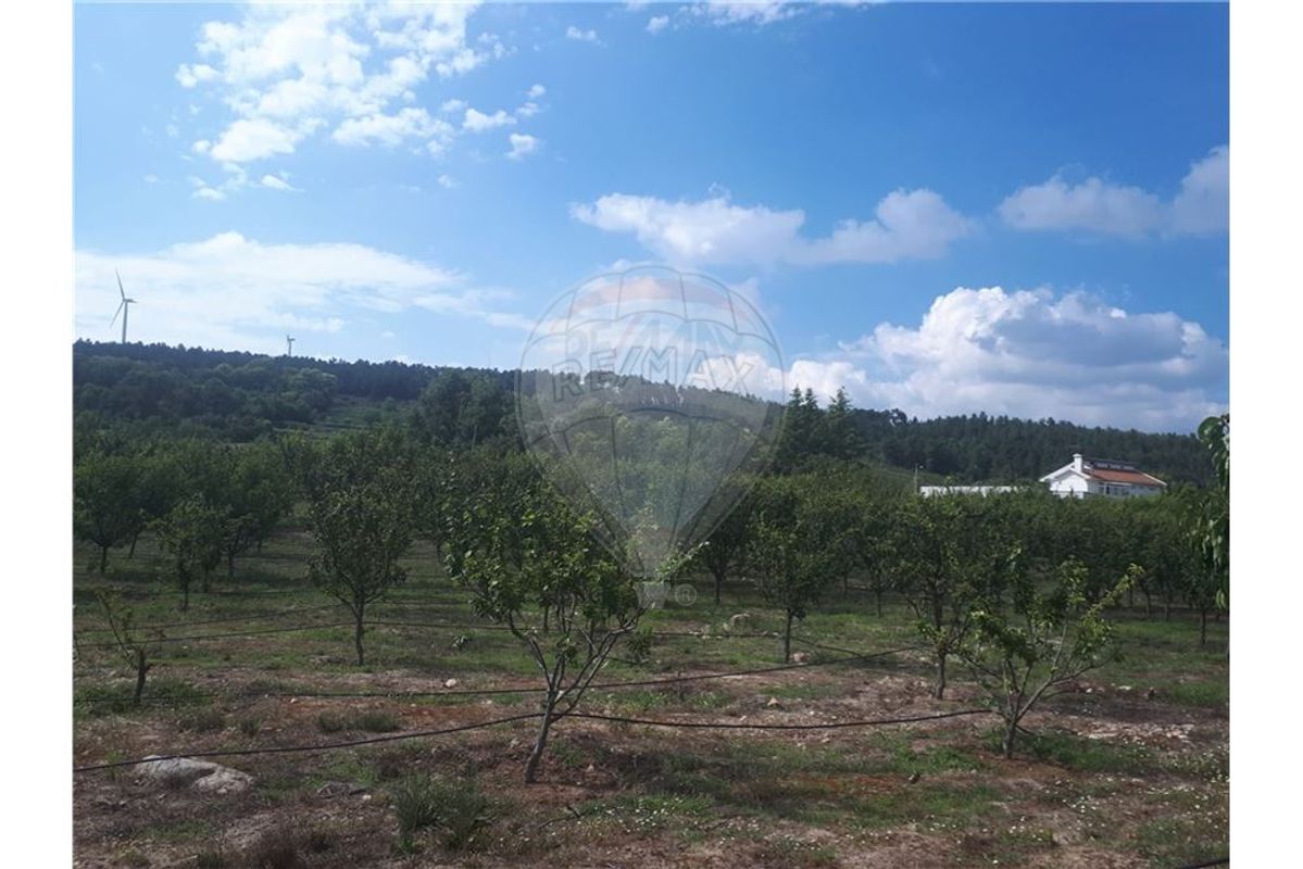 2 Schlafzimmer Haus in Caria, Portugal, Nr. 54173