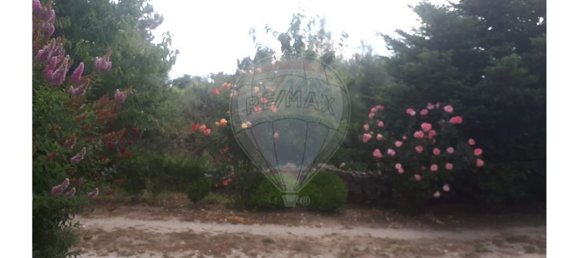 2 Schlafzimmer Haus in Caria, Portugal, Nr. 54173 9