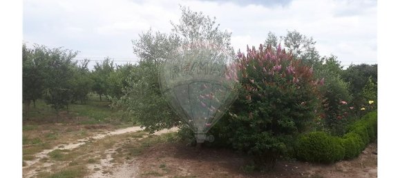 2 Schlafzimmer Haus in Caria, Portugal, Nr. 54173 8