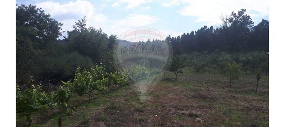 2 Schlafzimmer Haus in Caria, Portugal, Nr. 54173 18