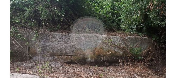 2 Schlafzimmer Haus in Caria, Portugal, Nr. 54173 4