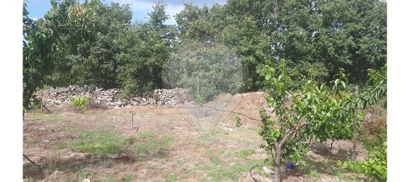 2 Schlafzimmer Haus in Caria, Portugal, Nr. 54173 17