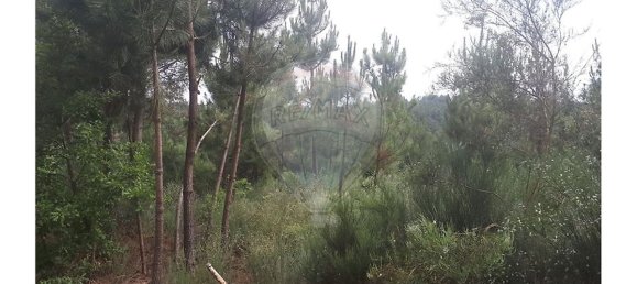 2 Schlafzimmer Haus in Caria, Portugal, Nr. 54173 15