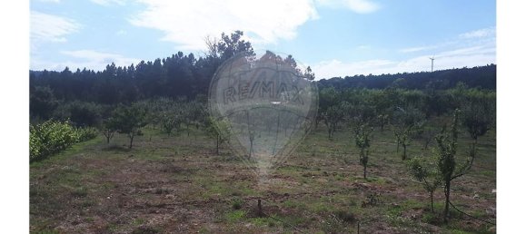 2 Schlafzimmer Haus in Caria, Portugal, Nr. 54173 16