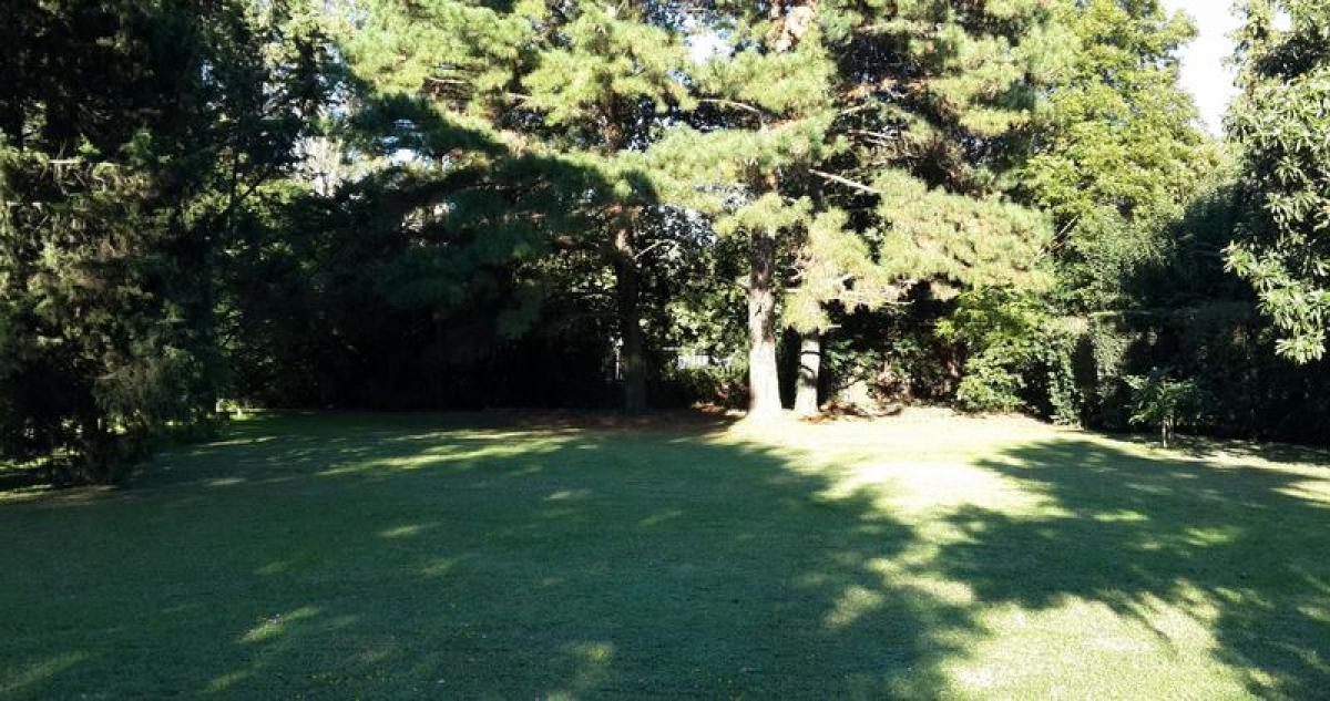  Land in Tigre, Argentina No. 33388