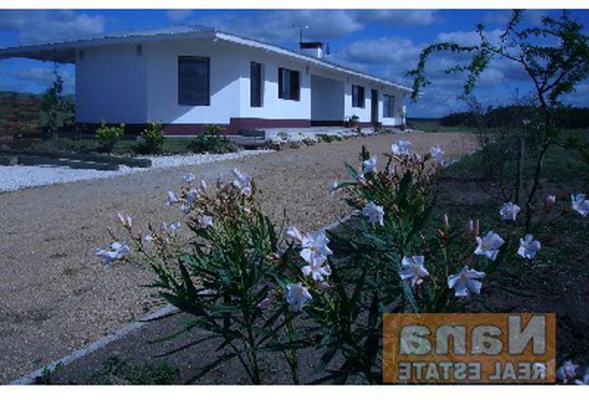 Bauernhof in Maldonado, Uruguay, Nr. 14977