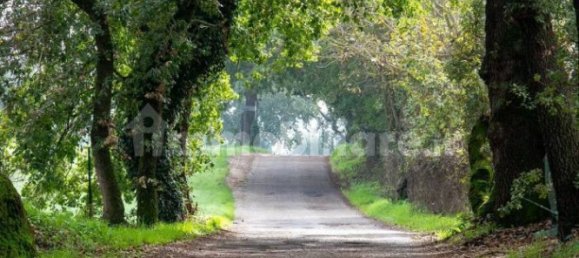 Villa de 2 dormitorios en Graffignano, Italy No. 157852 99