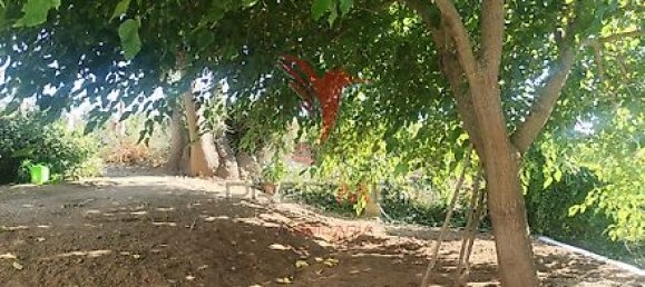 Casa T5 em Beja, Portugal N.º 40998 11