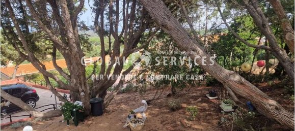 2 bedrooms Villa in Aglientu, Italy No. 347032 38