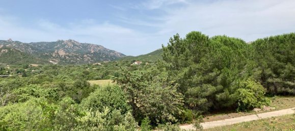 4-salle Villa à Arzachena, Italy No. 228207 12