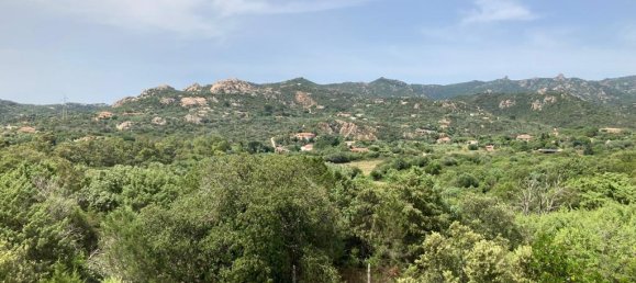 4-salle Villa à Arzachena, Italy No. 228207 17