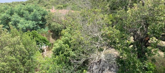 4-salle Villa à Arzachena, Italy No. 228207 16