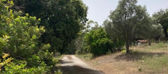 4-salle Villa à Arzachena, Italy No. 228207 18