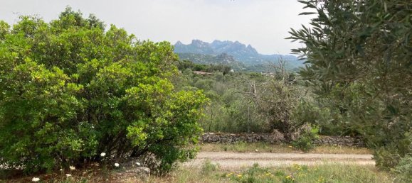 4-salle Villa à Arzachena, Italy No. 228207 19