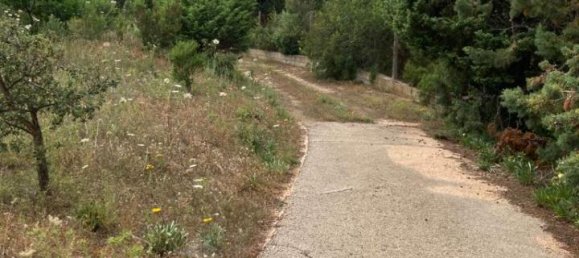 4-salle Villa à Arzachena, Italy No. 228207 23