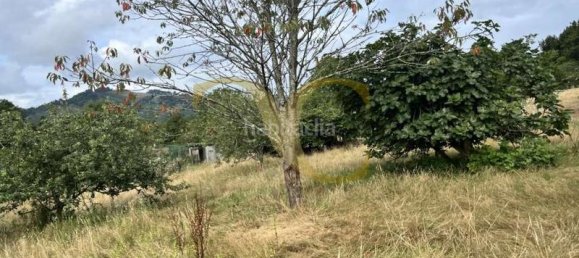 3 chambres Maison à Pilona, Spain No. 172646 12