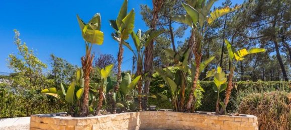 6 bedrooms House in Quarteira, Portugal No. 134294 30