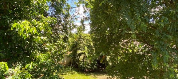 4 bedrooms Cafe / restaurant in Chiang Mai, Thailand No. 23318 22