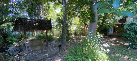 4 bedrooms Cafe / restaurant in Chiang Mai, Thailand No. 23318 29