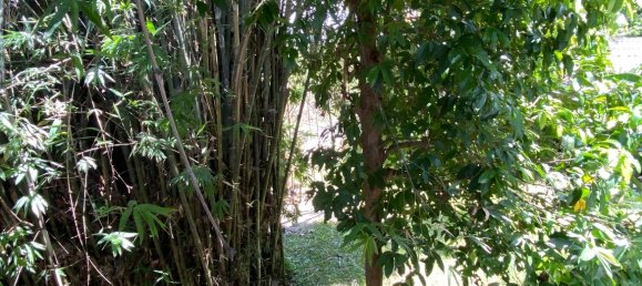 4 bedrooms Cafe / restaurant in Chiang Mai, Thailand No. 23318 24