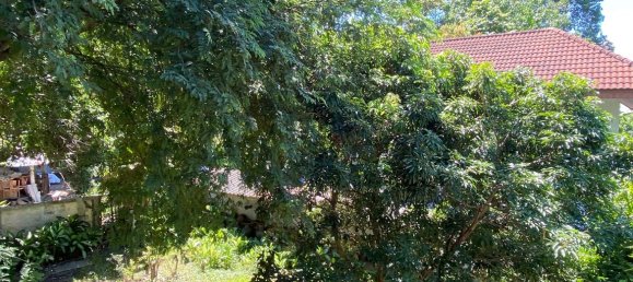 4 bedrooms Cafe / restaurant in Chiang Mai, Thailand No. 23318 23