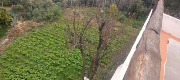 2 bedrooms House in Aguimes, Spain No. 186168 7