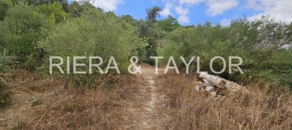 65m² Land in Felanitx, Spain No. 177401 3