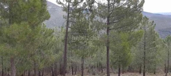  قطعة أرض في Madrid, Spain رقم 86081 7