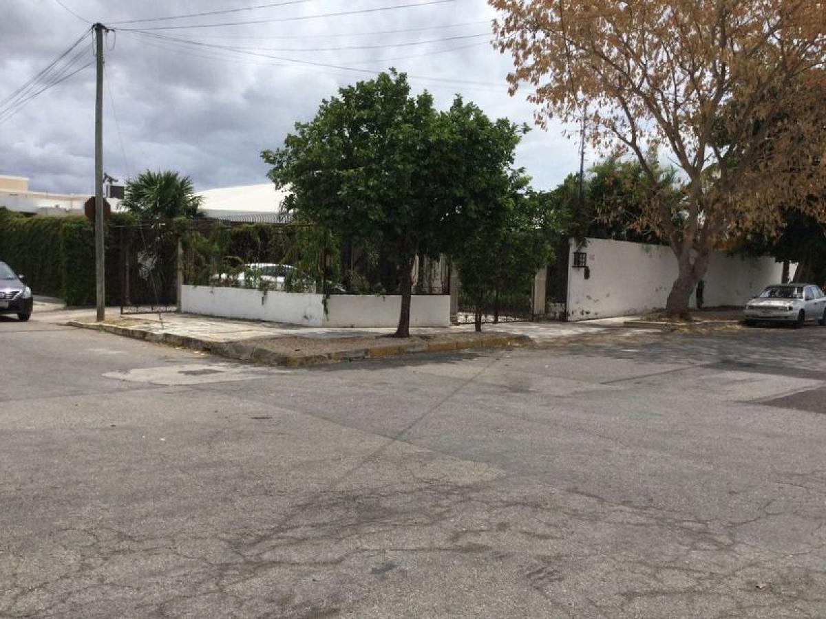 3 chambres Maison à Yucatan, Mexico No. 167258