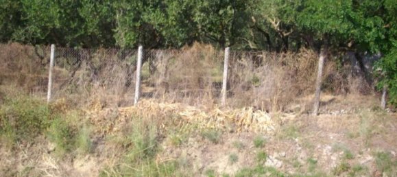 Land for sale in Zakynthos, Ionian Islands, Peloponnese, Western Greece and the Ionian, Greece № 533 11