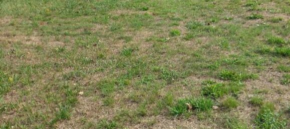 Grundstück in Les Sables-d'Olonne, France 1300m², Nr. 359765 4