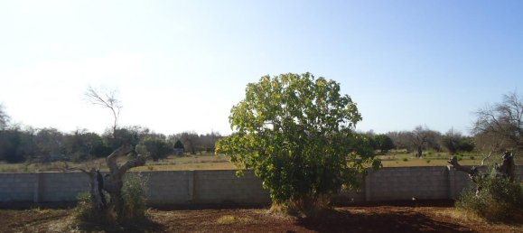 4-salle Villa à Matino, Italy No. 236926 4
