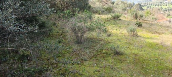 3 bedrooms House in Vila Franca de Xira, Portugal No. 49800 4