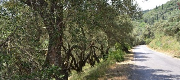 Hotel in Corfu, Greece 9500m², Nr. 7167 3