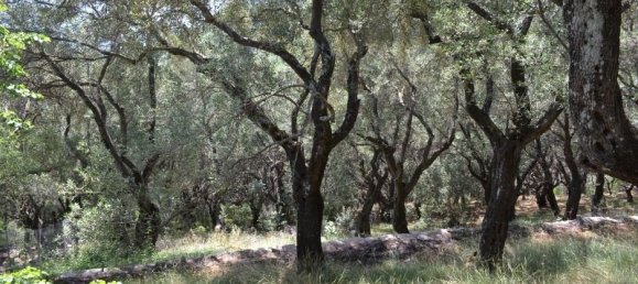 Hotel in Corfu, Greece 9500m², Nr. 7167 2