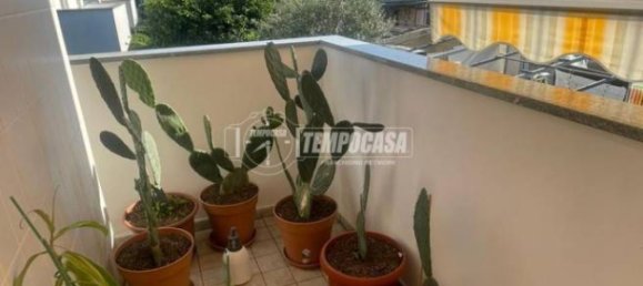 2 bedrooms Apartment in Desio, Italy No. 260180 2