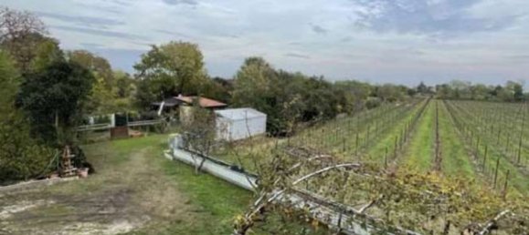 14 bedrooms Villa in Santa Lucia di Piave, Italy No. 379645 11