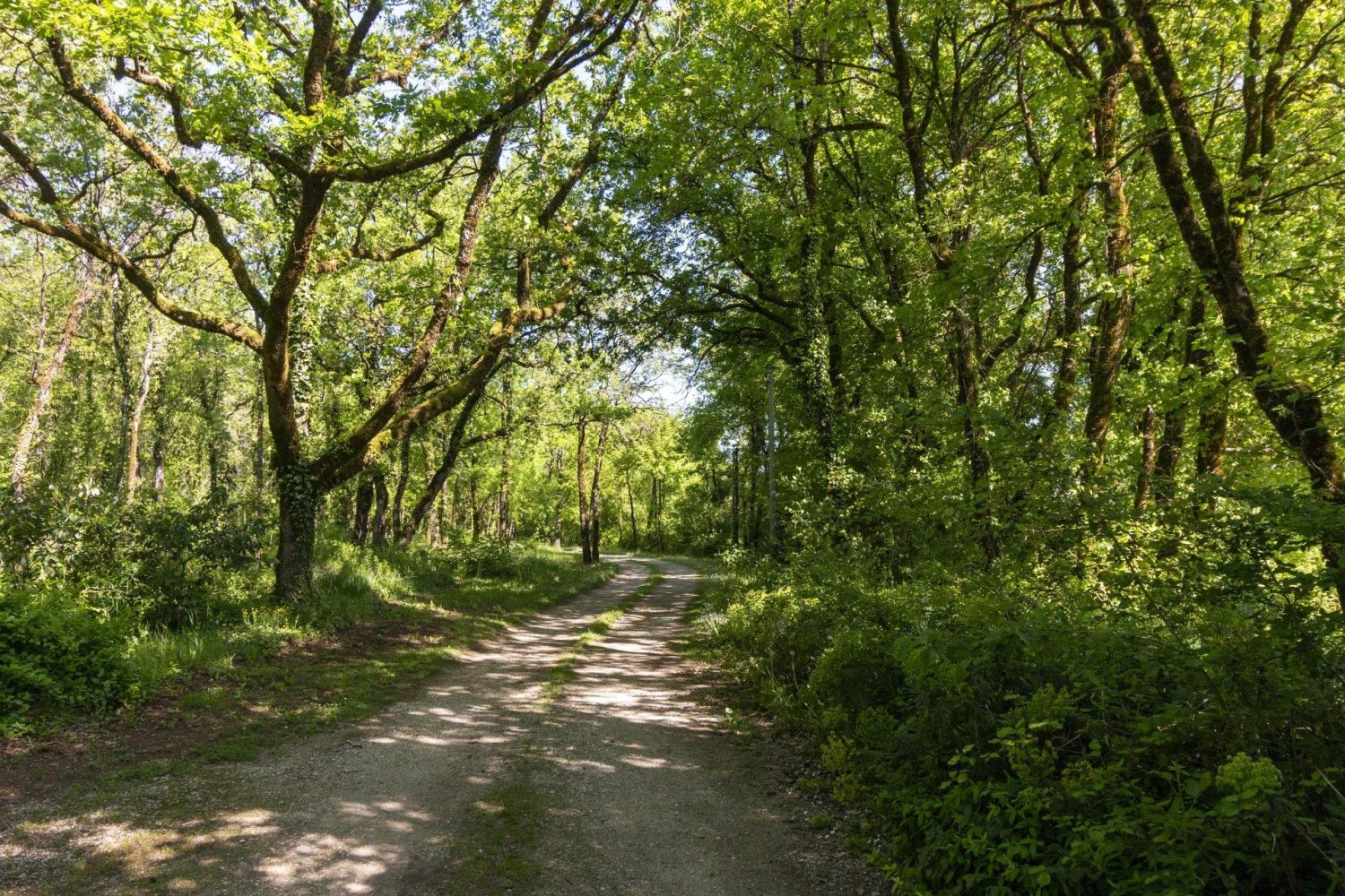 5 Schlafzimmer Haus in Charente, France, Nr. 361811