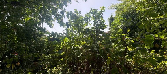 Studio in Palombaro, Italy No. 291544 24