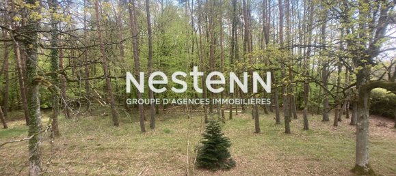 4 bedrooms House in Nesploy, France No. 40370 11