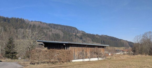 Земельный участок в Шарнштайн, Австрия № 146114 3