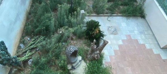 3-Zimmer Wohnung in Cellamare, Italy, Nr. 155227 24