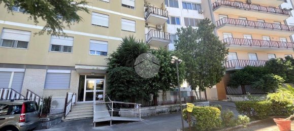 1 Schlafzimmer Wohnung in Palermo, Italy, Nr. 262841 15