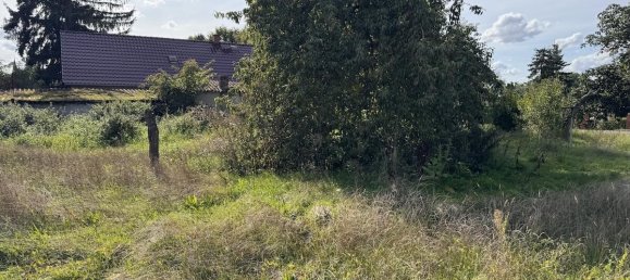 3-Zimmer Haus in Vorpommern-Greifswald, Germany, Nr. 370407 4